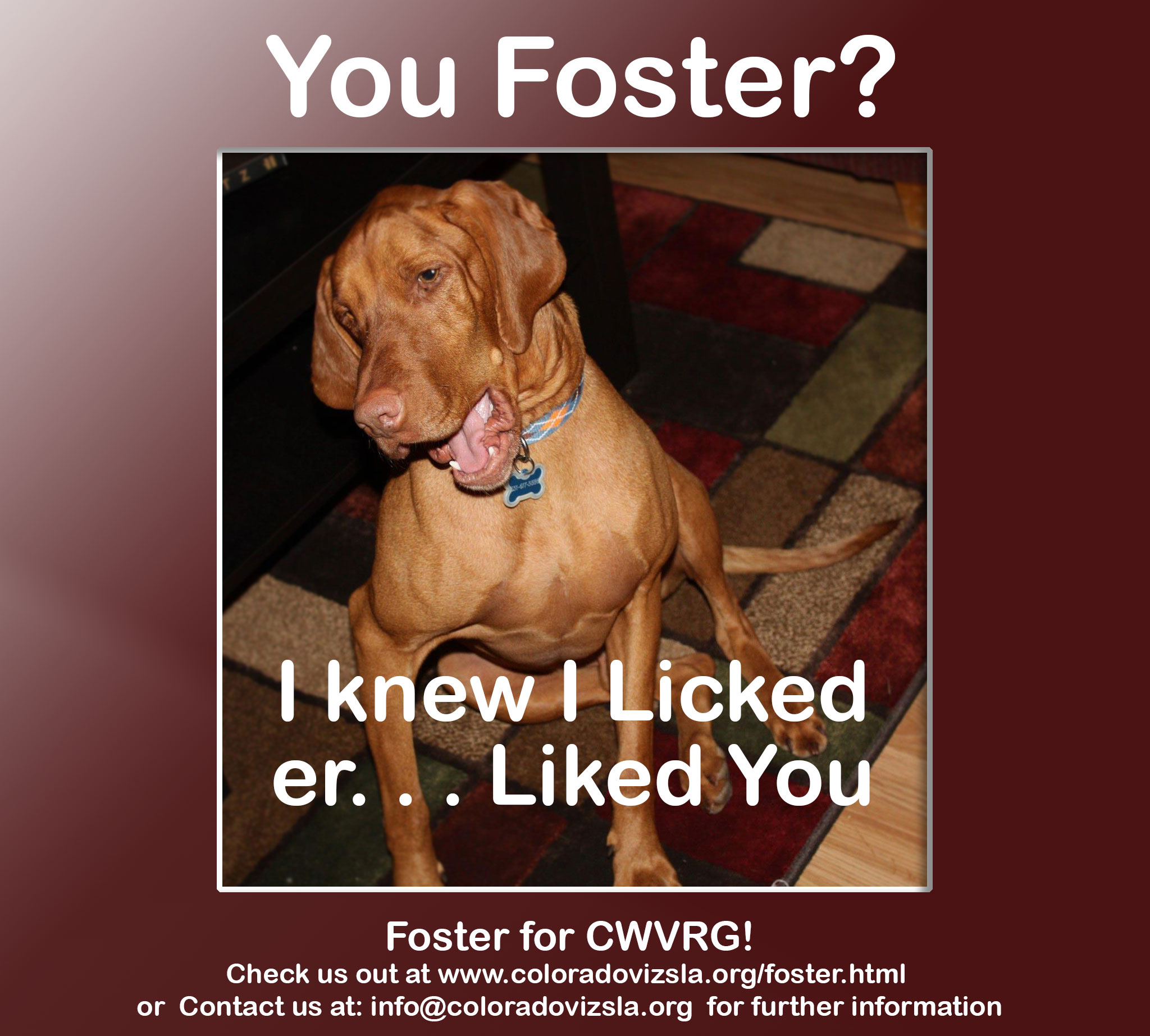 Your Foster? I know I licked er... Liked you!