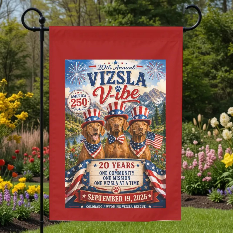 20th Annual Vizsla V-ibe Stars, Stripes and Vizslas flag