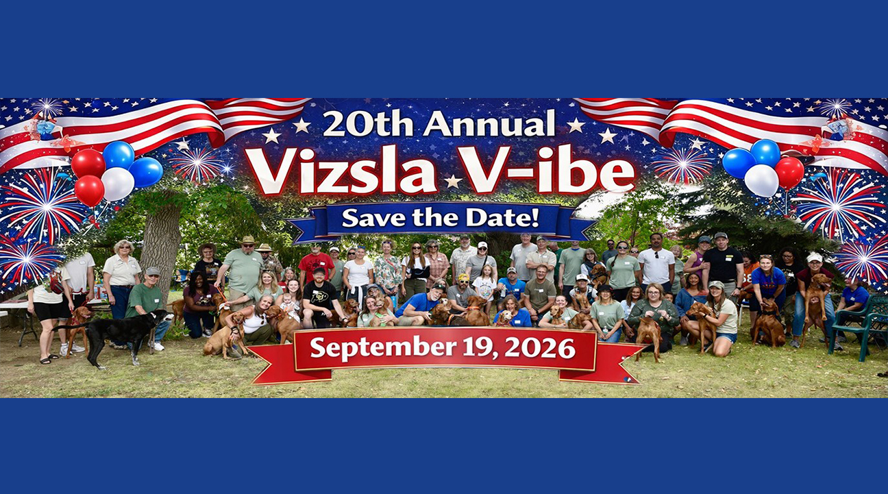 Save the date 2026