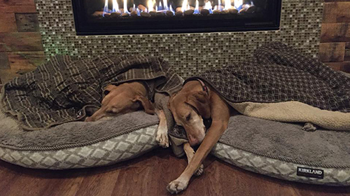Maggie